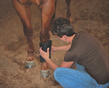 A person kneeling down to check the foot of a horse.